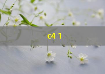 c4 1